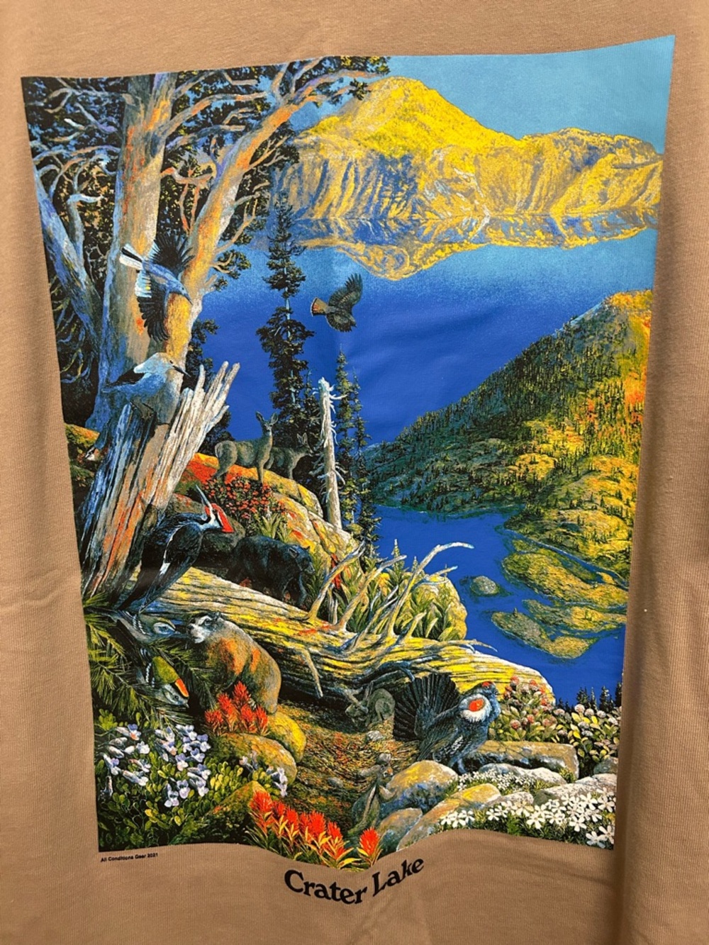Nike ACG shirt - Picture 2 of 3